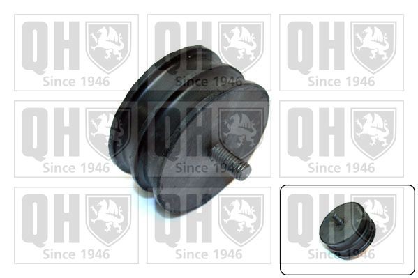 QUINTON HAZELL Mounting, automatic transmission Article number: EM1525 cheaply