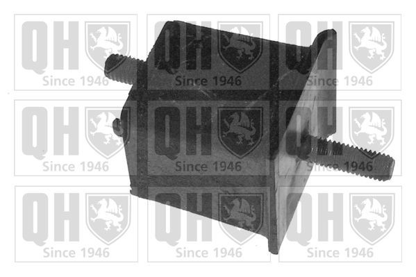 QUINTON HAZELL Engine mount Article number: EM1546 cheaply