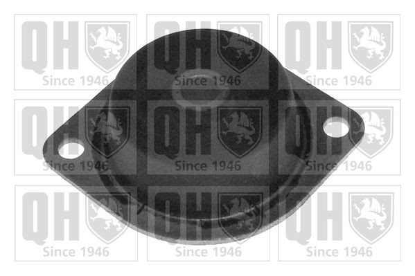 QUINTON HAZELL Engine mount Article number: EM1749 cheaply