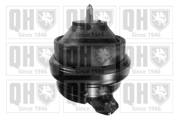 QUINTON HAZELL Engine mount Article number: EM2224 cheaply
