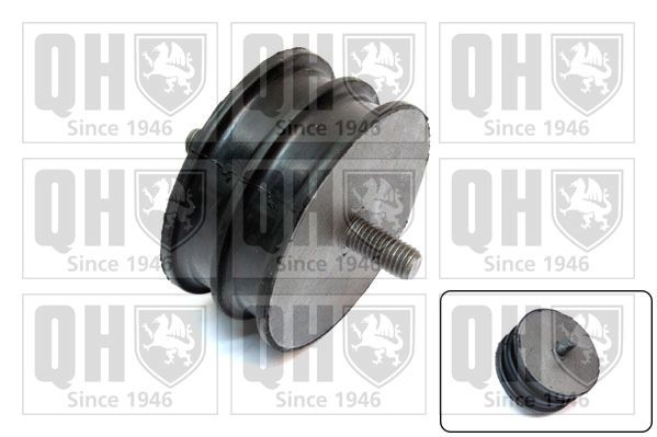 QUINTON HAZELL Engine mount Article number: EM3014 cheaply