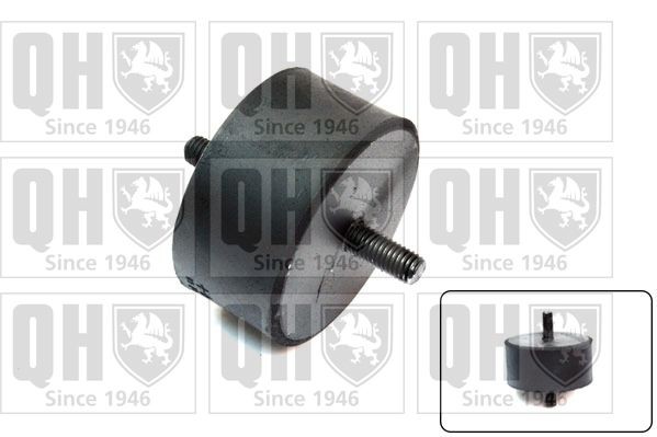 QUINTON HAZELL Engine mount Article number: EM670 cheaply