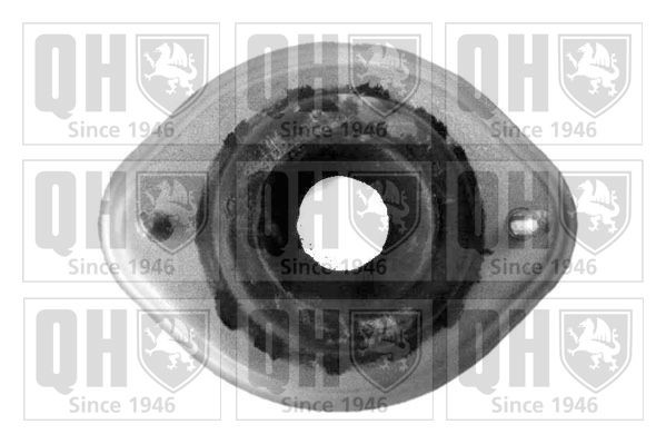 QUINTON HAZELL Top strut mount Article number: EMR1787 cheaply