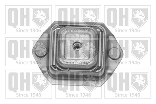QUINTON HAZELL Axle bush Article number: EMS8323 cheaply