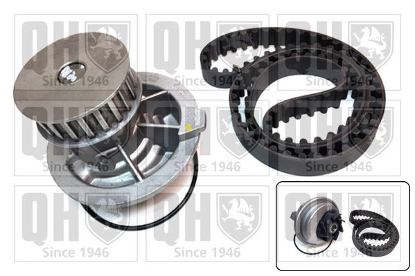 QUINTON HAZELL Water pump and timing belt kit Article number: QBPK9019 cheaply