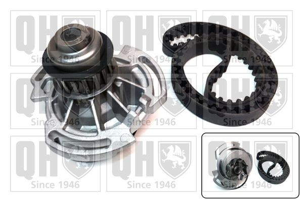 QUINTON HAZELL Water pump and timing belt kit Article number: QBPK9059 cheaply