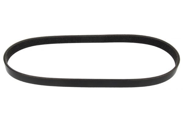 MAPCO Serpentine belt Article number: 260873E cheaply
