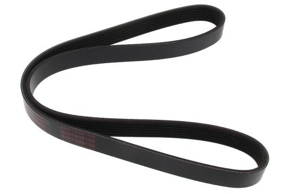 MAPCO Serpentine belt Article number: 261005 cheaply