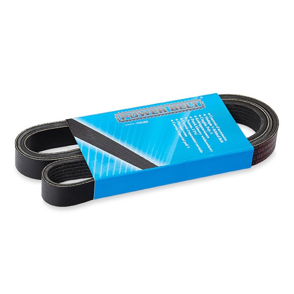 MAPCO Serpentine belt Article number: 261502 cheaply