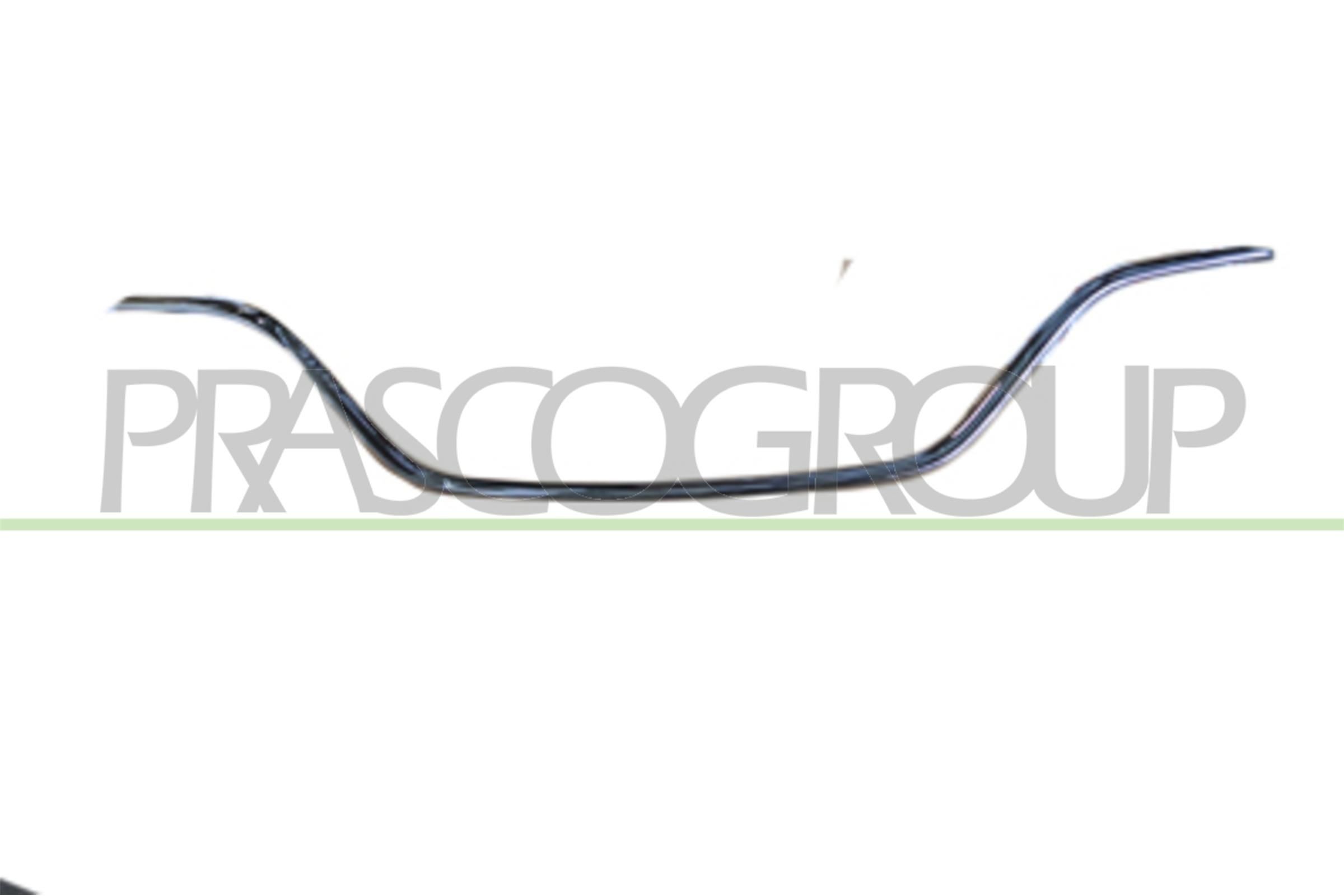 PRASCO Frame, radiator grille Article number: RN4302305 cheaply