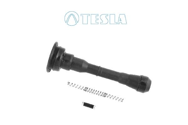 TESLA CP094 Plug, spark plug PULSAR 1.6 DIG-T 190 PS Petrol