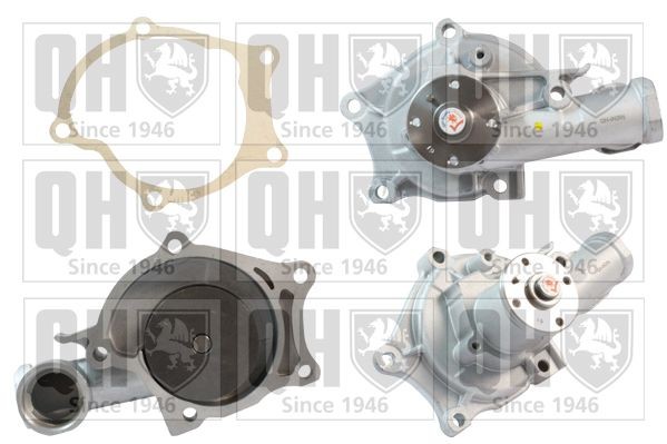 QUINTON HAZELL Water pump Article number: QCP3041 cheaply
