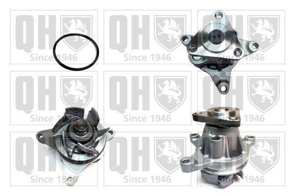 QUINTON HAZELL Veepump Artikli number: QCP3539 soodsalt