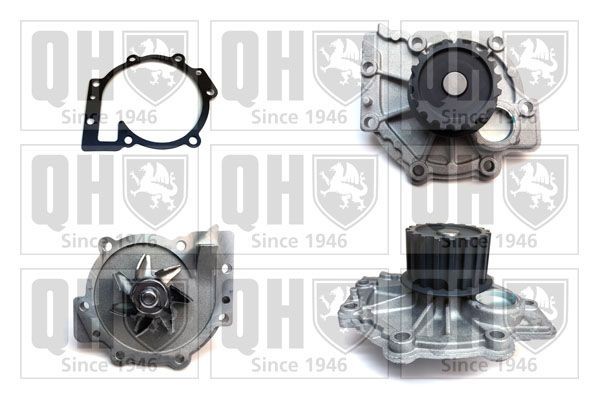 QUINTON HAZELL Water pump Article number: QCP3556 cheaply