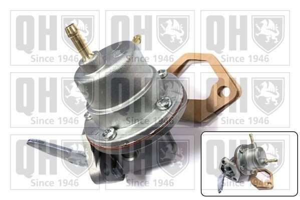 QUINTON HAZELL Fuel pump Article number: QFP42 cheaply
