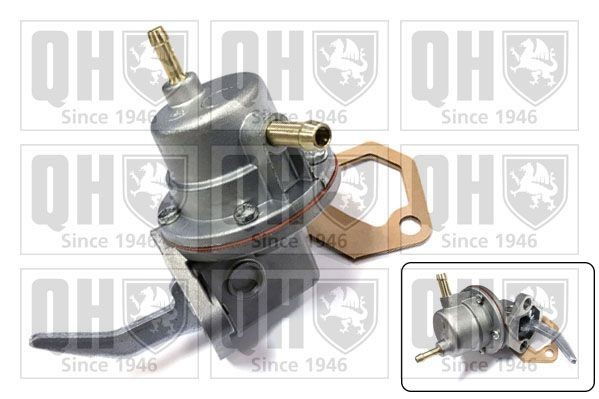 QUINTON HAZELL Fuel pump Article number: QFP43 cheaply