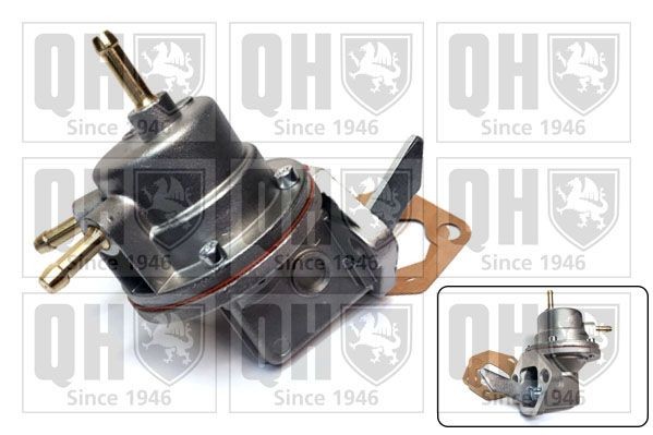 QUINTON HAZELL Fuel pump Article number: QFP52 cheaply