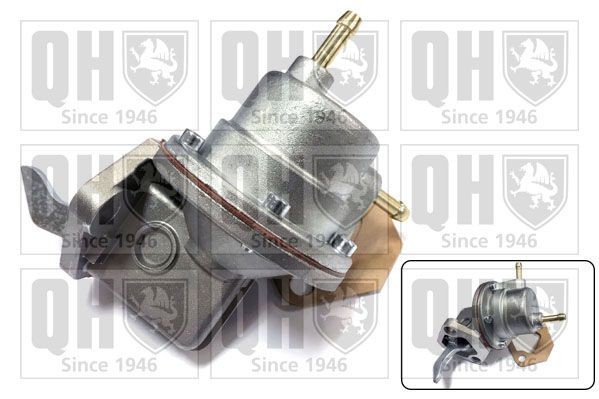 QUINTON HAZELL Fuel pump Article number: QFP82 cheaply