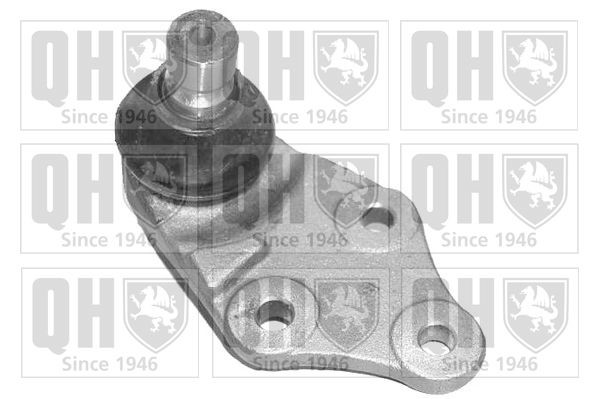 QUINTON HAZELL Ball Joint Article number: QSJ1146S cheaply