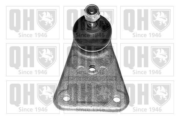 QUINTON HAZELL Ball Joint Article number: QSJ197S cheaply