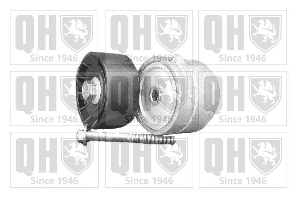 QUINTON HAZELL Tensioner Lever, v-ribbed belt Article number: QTA1134 cheaply