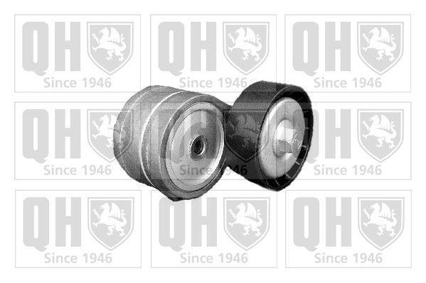 QUINTON HAZELL Tensioner Lever, v-ribbed belt Article number: QTA1160 cheaply