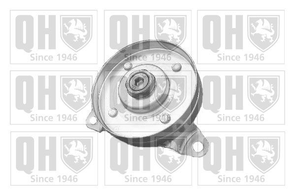 QUINTON HAZELL Tensioner pulley Article number: QTA212 cheaply