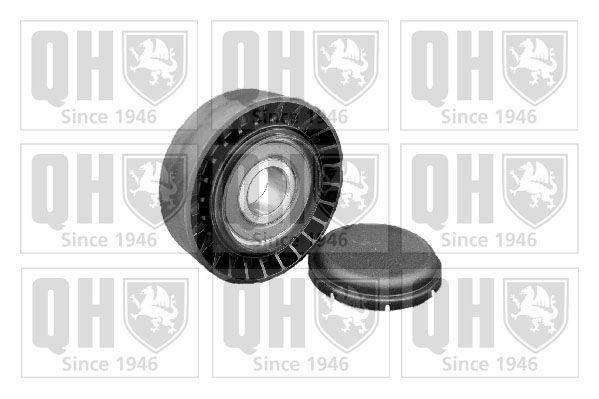 QUINTON HAZELL Tensioner pulley Article number: QTA848 cheaply