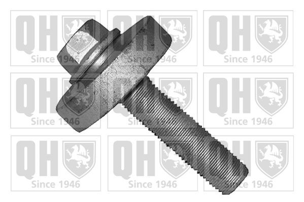 QUINTON HAZELL QTT1166B Pulley Bolt MODUS 1.5 dCi 86 PS Diesel