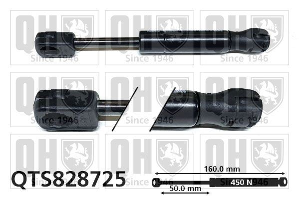 QUINTON HAZELL Tailgate strut Article number: QTS828725 cheaply