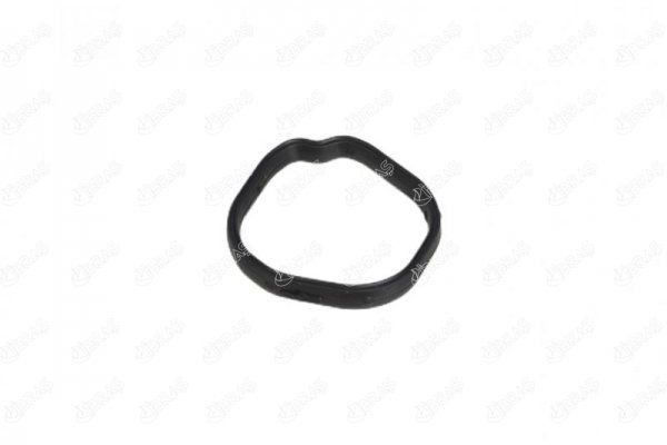 IBRAS Thermostat housing gasket Article number: 21243 cheaply