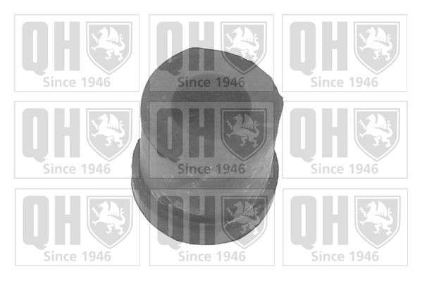 QUINTON HAZELL Trailing arm / Suspension arm bush Article number: Y45 cheaply