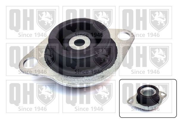 QUINTON HAZELL Engine mount Article number: EM4872 cheaply