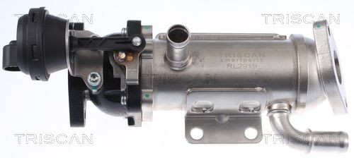 TRISCAN 8813 25101 EGR-jahuti SCÉNIC 2.0 dCi 150 HP Diisel 2010