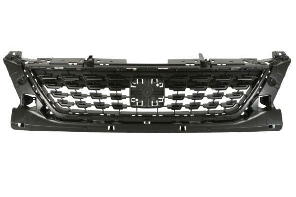 BLIC Radiator Grille Article number: 6502-07-6619990Q cheaply