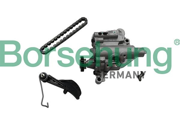 Borsehung B19177 Repair Kit, oil pump OCTAVIA 2.0 TSI RS 230 PS Petrol 2020