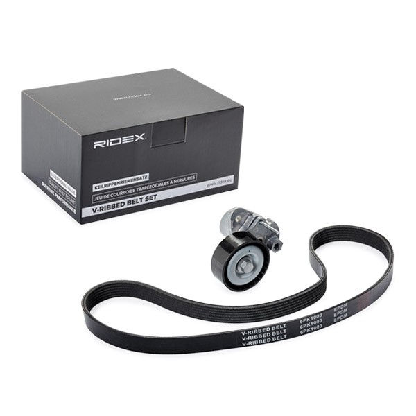 RIDEX V-Ribbed Belt Set Article number: 542R0463 cheaply