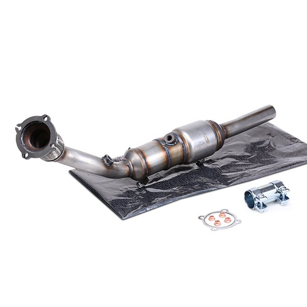RIDEX Catalizator număr articol: 429C0050 ieftin
