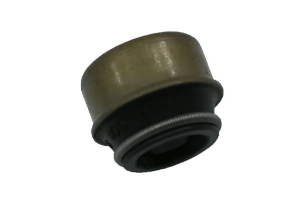 BUGIAD Valve stem seal Article number: BSP21037 cheaply