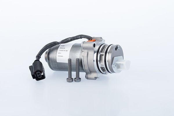 BorgWarner Pump, all-wheel-drive coupling Article number: DS119088 cheaply