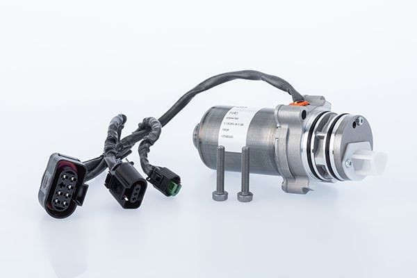 BorgWarner Pump, all-wheel-drive coupling Article number: DS2001260 cheaply