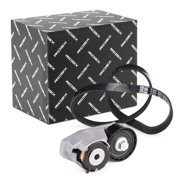 RIDEX V-Ribbed Belt Set Article number: 542R0521 cheaply