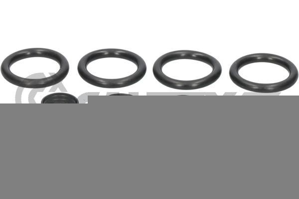 CAUTEX Seal Kit, injector nozzle Article number: 031719 cheaply
