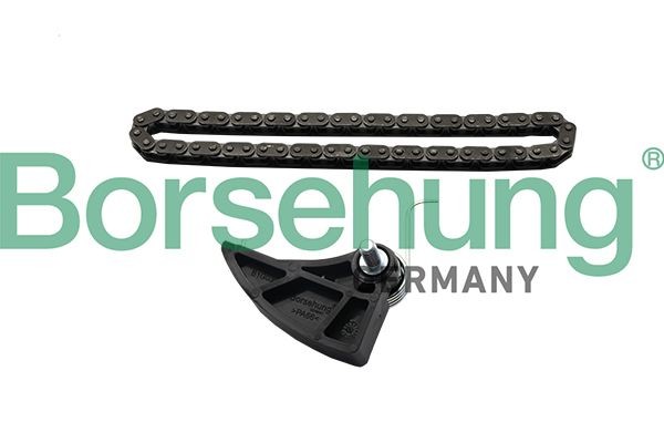 Borsehung B19287 Chain Set, oil pump drive PASSAT 1.6 FSI 115 PS Petrol 2011
