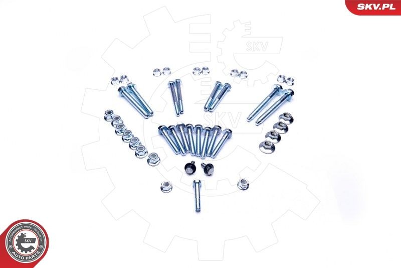 ESEN SKV 04SKV111 Bolt and Nut Kit PASSAT 1.9 TDI Syncro/4motion 110 PS Diesel 2001