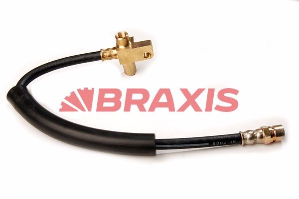 BRAXIS Brake hose Article number: AH0165 cheaply
