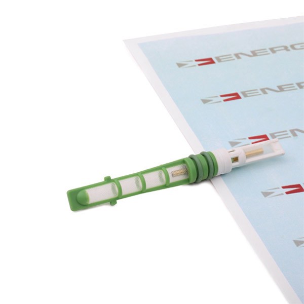 ENERGY NE00538 Sissepritsedüüs, ekspansioonklapp LEON 1.6 SRE 110 HP Bensiin