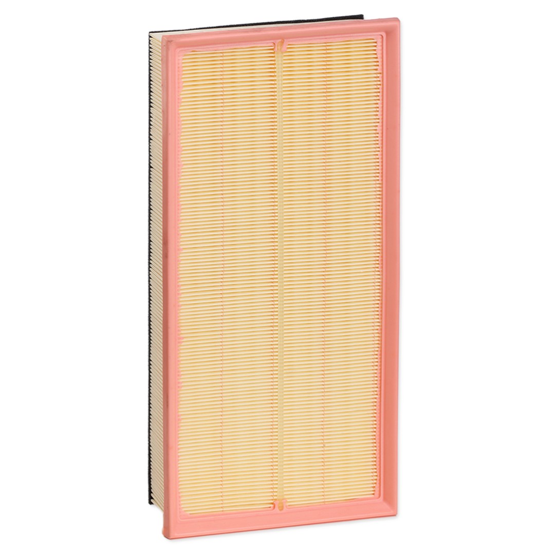 STARK Luftfilter Varenummer: SKAF-0061612 billige