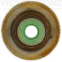 REINZ Valve stem seal Article number: 70-17787-00 cheaply