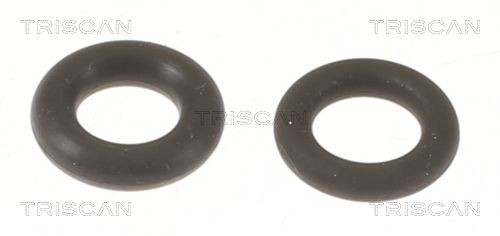 TRISCAN Seal Kit, injector nozzle Article number: 596-1004 cheaply